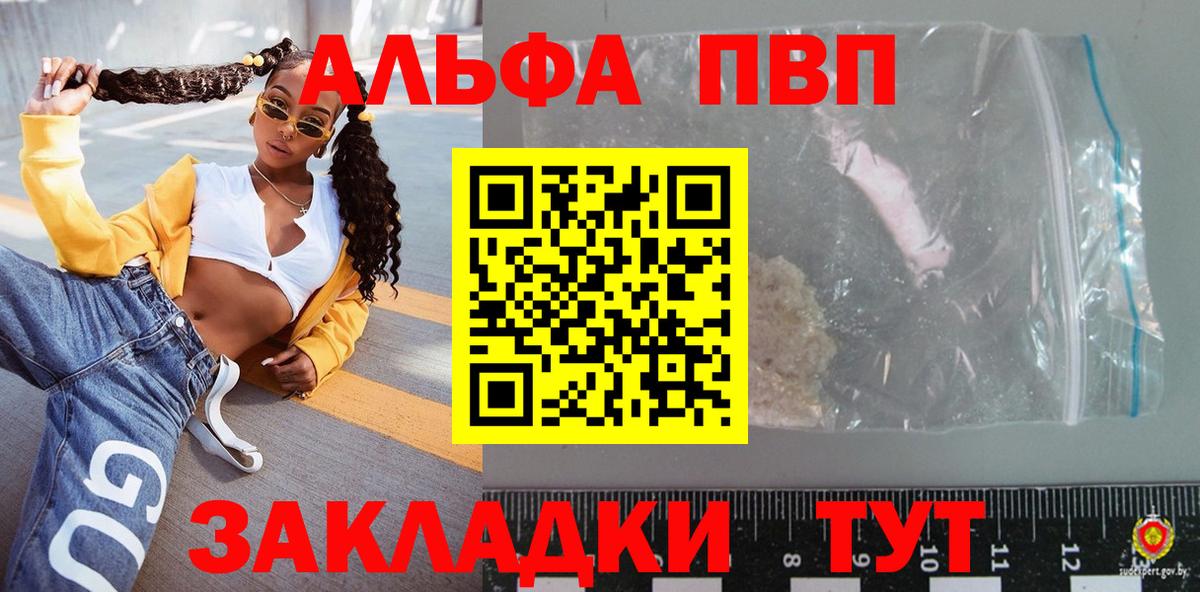 Альфа ПВП СК КРИС Новозыбков