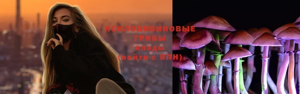 СК Няндома