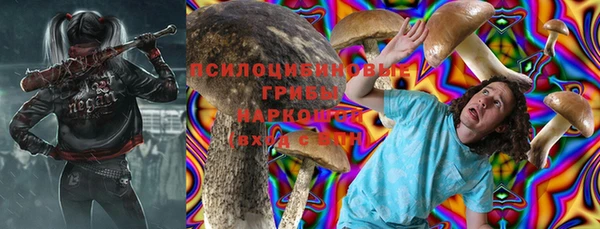 МДПВ Вязьма