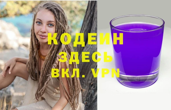 СК Няндома