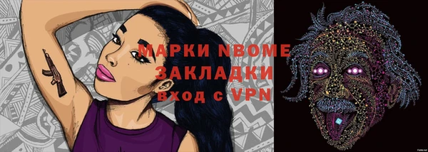 СК Няндома
