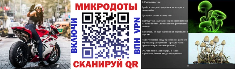 Псилоцибиновые грибы MAGIC MUSHROOMS  omg ONION  Новозыбков  купить  