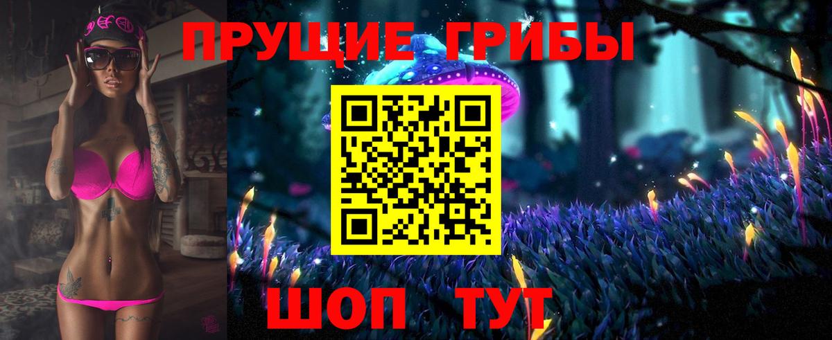 Псилоцибиновые грибы GOLDEN TEACHER  Галлюциногенные грибы Psilocybe  Новозыбков  Вход с VPN 